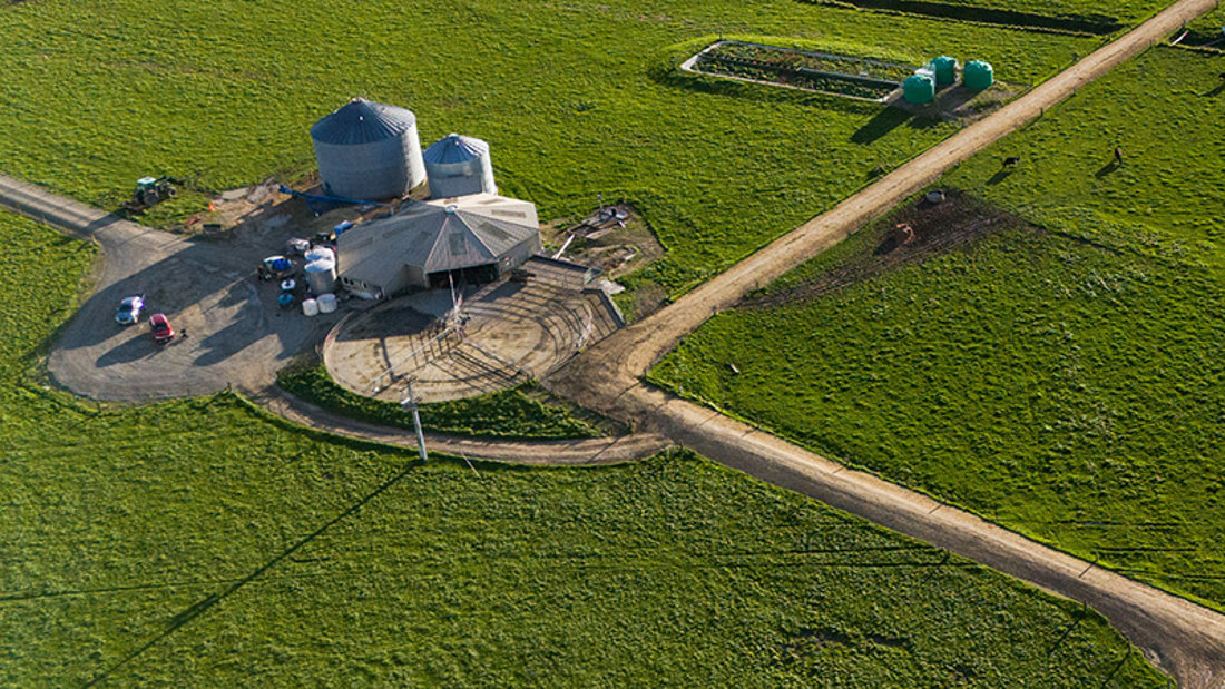 BizGrow - Dairy Training Limited