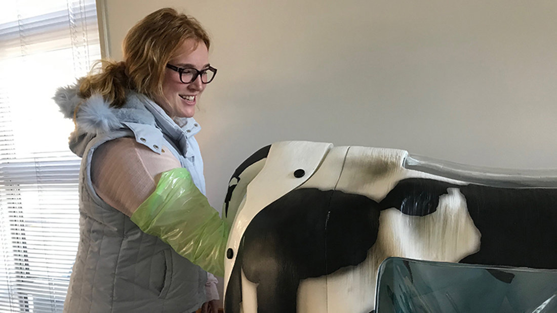 CalvingSmart cow